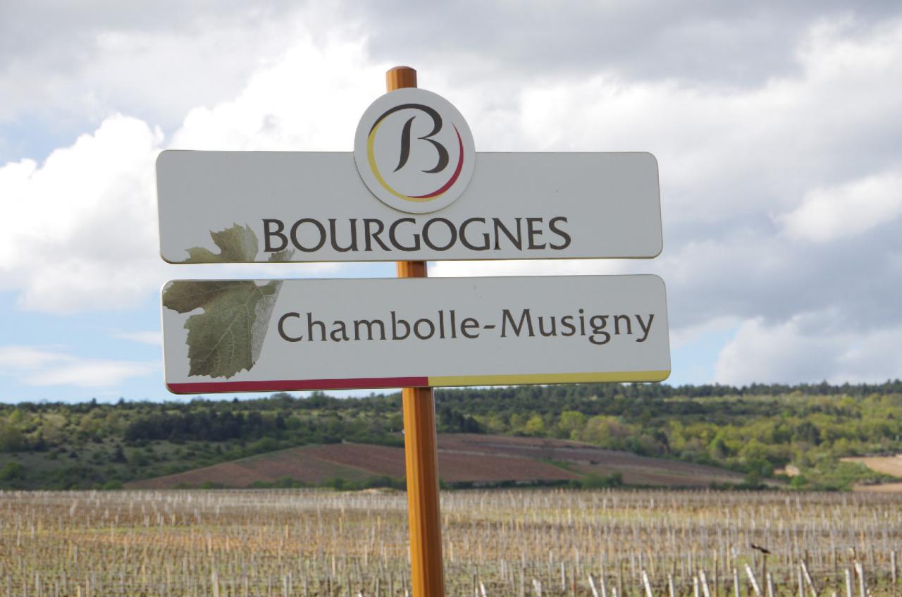 La route des Grands Crus