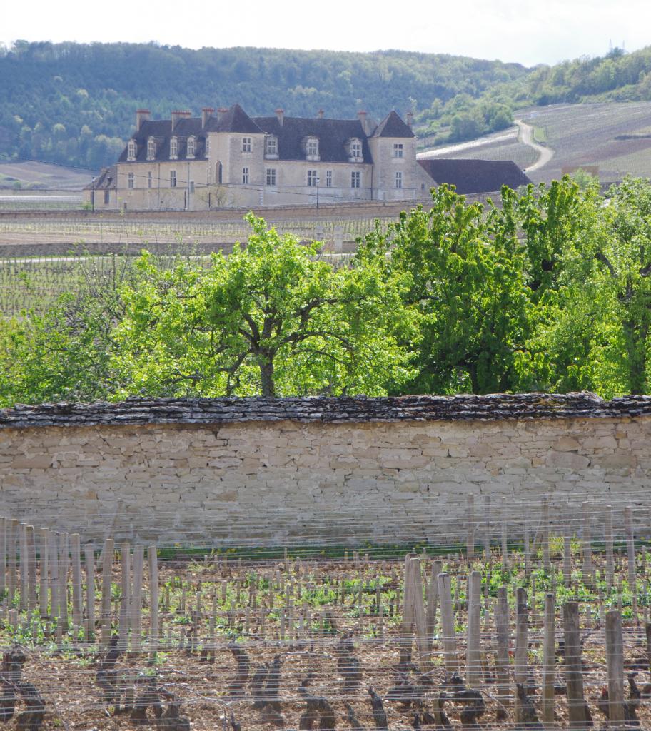 Chateau du Clos Vougeot